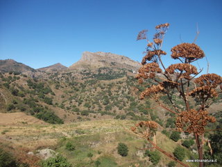 ano Margi-27-08-2014 09-21-54